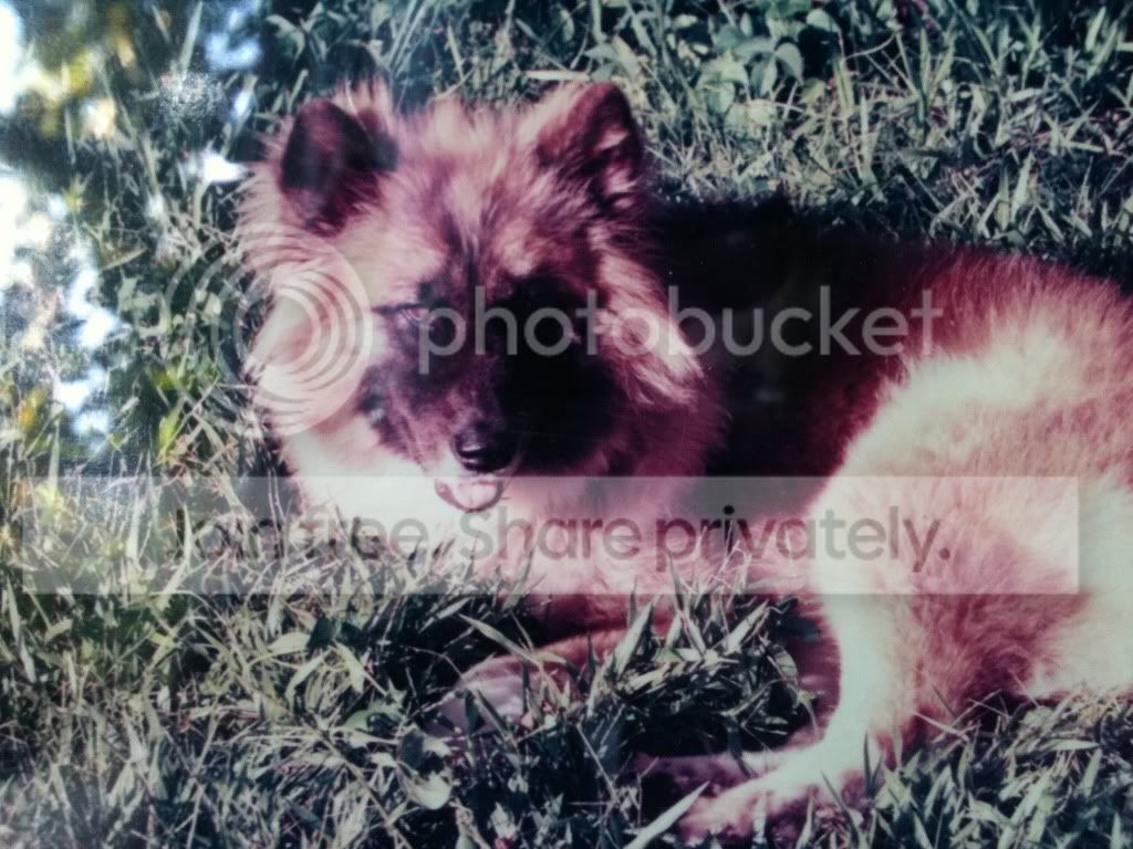 https://i1236.photobucket.com/albums/ff460/Liliana_Treeman/IMG_0047.jpg