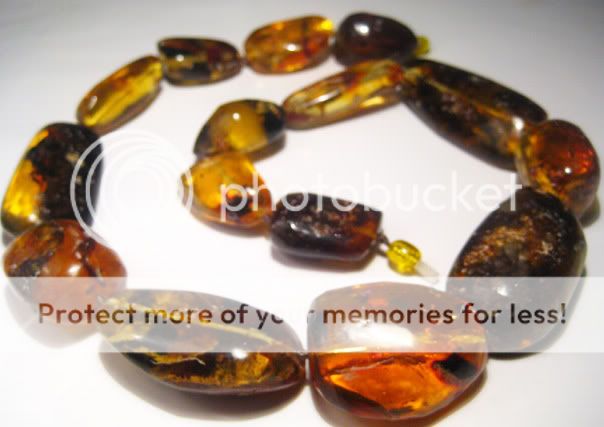 Genuine Baltic Amber Necklace With Fossil Insect . 123gr  